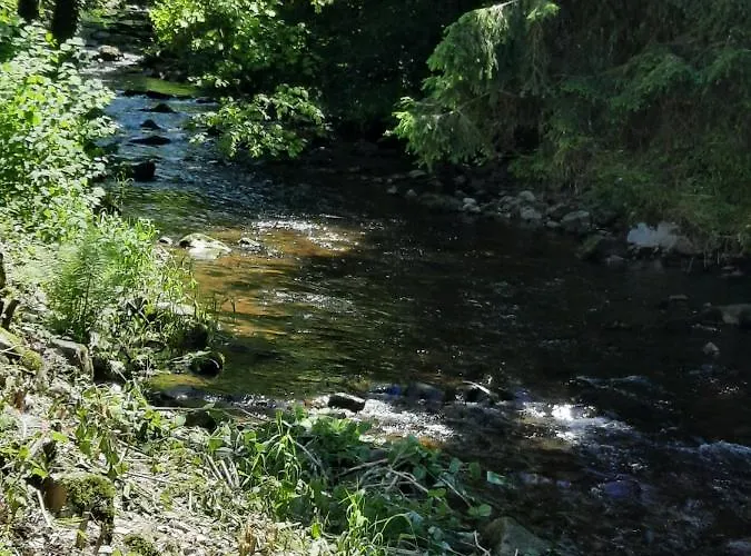 Logis Dans Construction De Caractere Apartamento Gérardmer